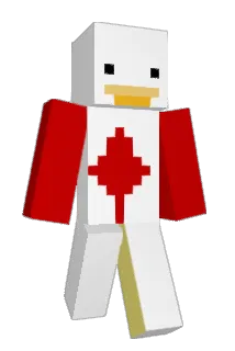 Minecraft-Avatar von Ctyking4hh: ganzer Körper