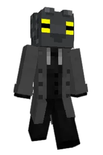 Minecraft-Avatar von Ctyz: ganzer Körper