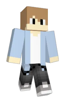 Cub41 Minecraft avatar full body
