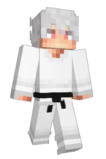 Cugoo Minecraft avatar full body