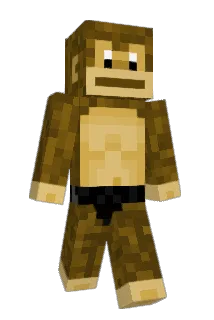 CuloCrusader Minecraft avatar full body