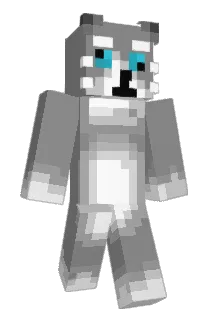 Cup_Rice Minecraft avatar full body