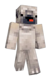 CupcakeMagik Minecraft avatar full body