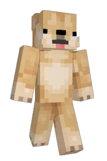 CxctusA Minecraft avatar full body