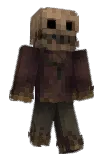 Cxrtx Minecraft avatar full body