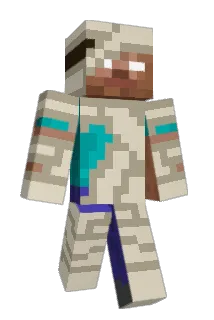 Cyclonix Minecraft avatar full body