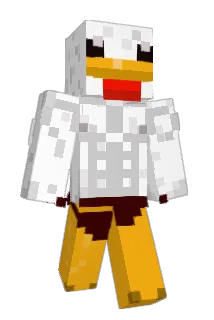 D00pl3 Minecraft avatar full body