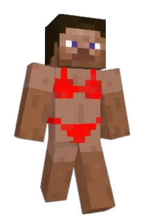 D0D0bird1 Minecraft avatar full body