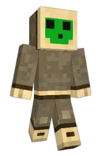 D0L1PRAN3 Minecraft avatar full body