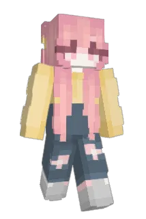 D0NROB Minecraft avatar full body