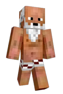 D0nPimpon Minecraft avatar full body