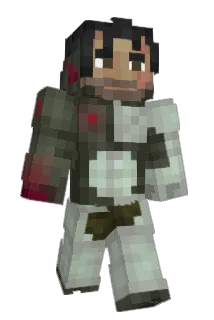D15C0RD Minecraft avatar full body