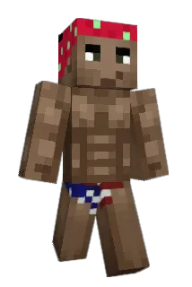 D1LAN Minecraft avatar full body