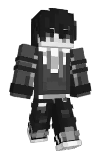 D1Laym Minecraft avatar full body