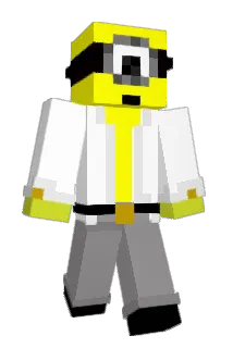 D1M1X Minecraft avatar full body