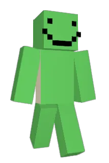 D1Pickleball Minecraft avatar full body
