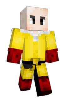 D1amond66 Minecraft avatar full body