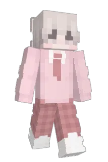D1ddl Minecraft avatar full body