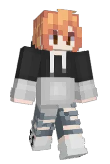 D1isco Minecraft avatar full body