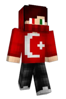 D2T3N9 Minecraft avatar full body
