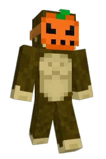 D2swet Minecraft avatar full body