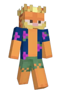 D30SFCD Minecraft avatar full body