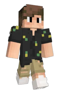 D311 Minecraft avatar full body