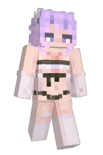 D3LN Minecraft avatar full body