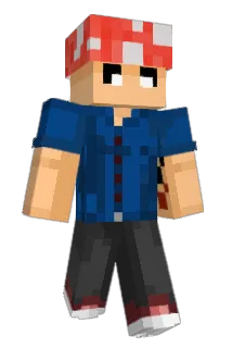 D3cozzzz Minecraft avatar full body