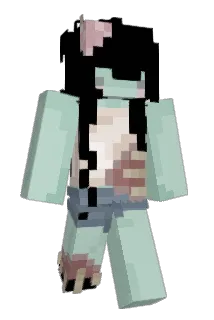 D423 Minecraft avatar full body