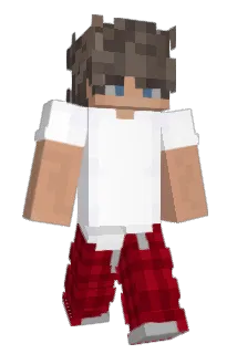 D4B3 Minecraft avatar full body