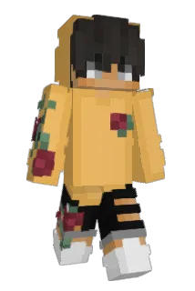 D4BS Minecraft avatar full body