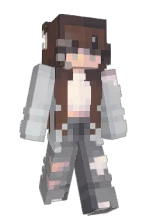 D4N14L Minecraft avatar full body