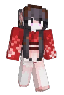 D4arames Minecraft avatar full body