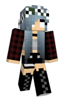 D4k_Noisy Minecraft avatar full body