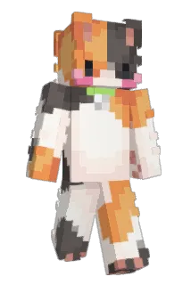 D4n7ik0 Minecraft avatar full body