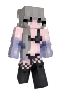 D5C Minecraft avatar full body