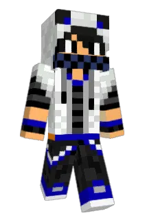 D7miGamer Minecraft avatar full body
