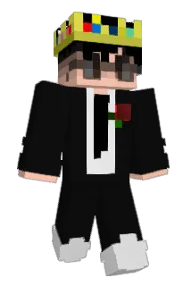 D80S Minecraft avatar full body