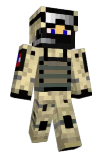 D8Q9 Minecraft avatar full body