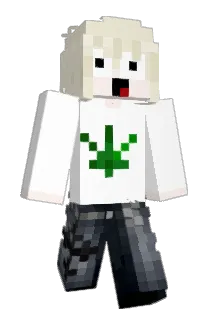 DAFQVXZ Minecraft avatar full body