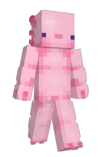 DAKITTYGOESBOOM Minecraft avatar full body