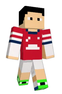 DAN572 Minecraft avatar full body