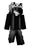DANCEPRO Minecraft avatar full body