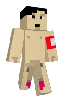 DANDAR10 Minecraft avatar full body