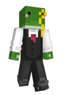 DAPPERFROG420 Minecraft avatar full body