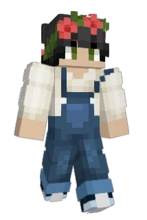 DARWINELPEZ Minecraft avatar full body