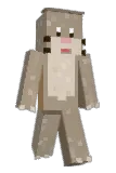 DAVIAN__ Minecraft avatar full body