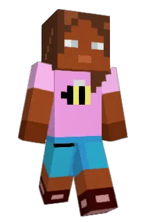 DAY_3 Minecraft avatar full body