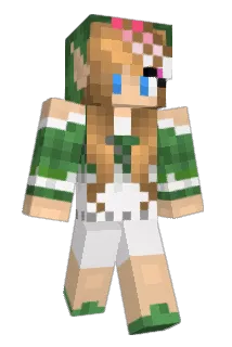 DAbbink Minecraft avatar full body